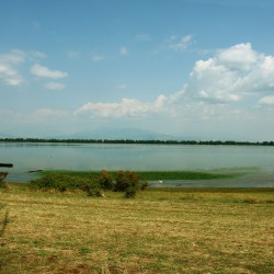 λίμνη κερκίνη
