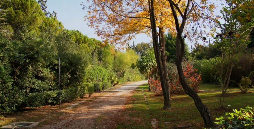 βοτανικός κήπος